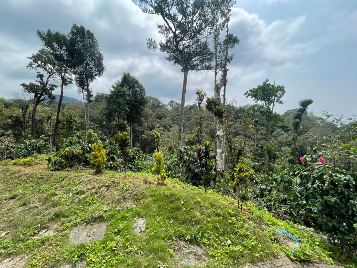 Rai'S Coorg Cave House Villa Madikeri Buitenkant foto